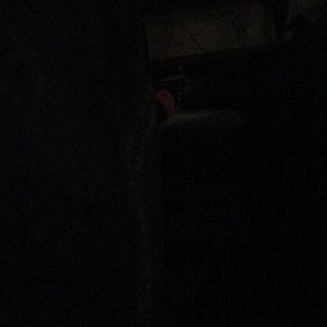 Meet your Posher, Jake